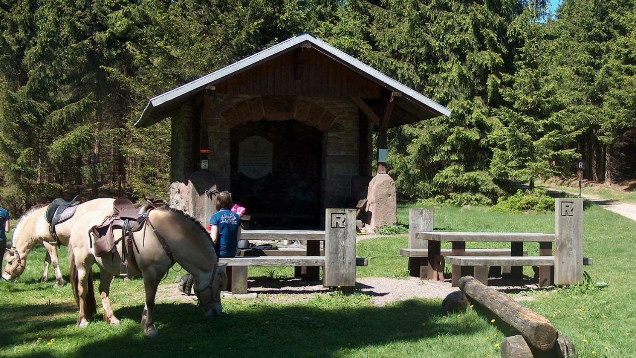 Ferienwohnung Trollmann Schmalkalden Bagian luar foto